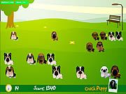 Köpeğini Bul Oyunu